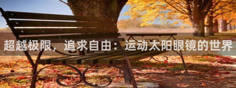 辉达娱乐多少年