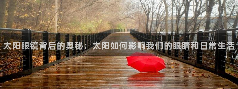 辉达娱乐体彩
