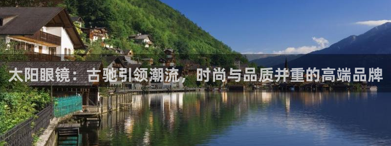 辉达娱乐公司