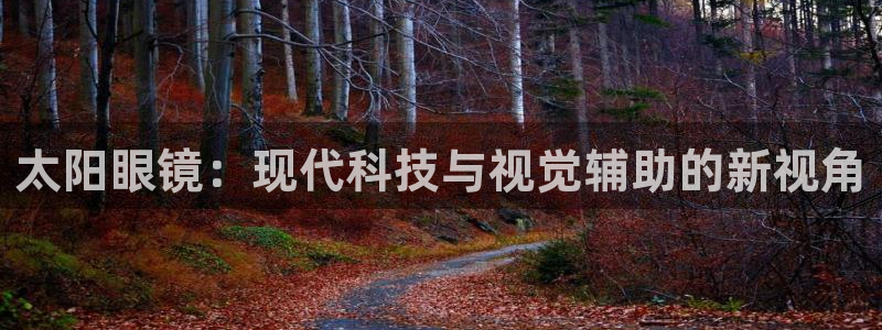 辉达娱乐