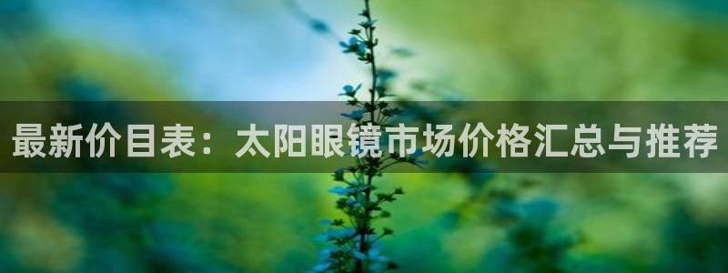 辉达娱乐app