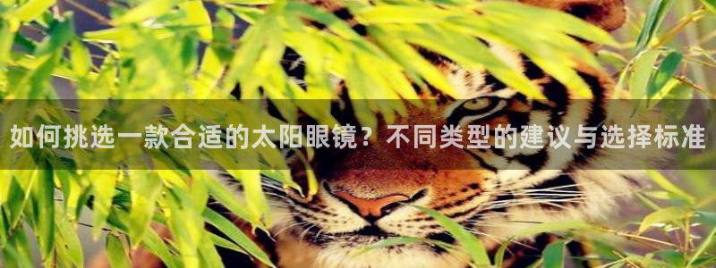 辉达娱乐最新消息新闻