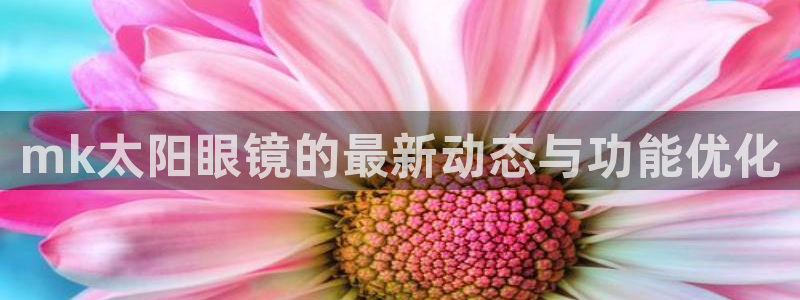 辉达娱乐