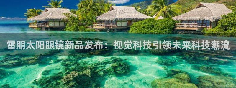 龙腾辉达电子娱乐