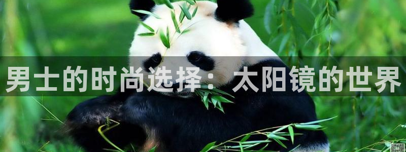 辉达娱乐平台