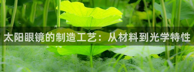 辉达娱乐分红