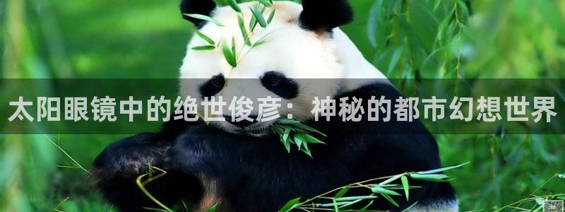 辉达娱乐app