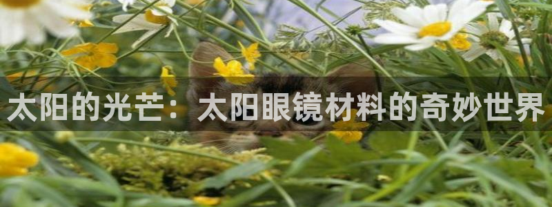 信誉辉达娱乐官方网址