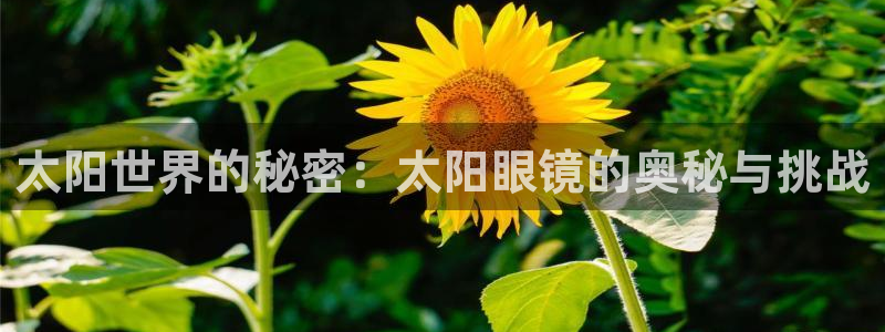 辉达娱乐己39444