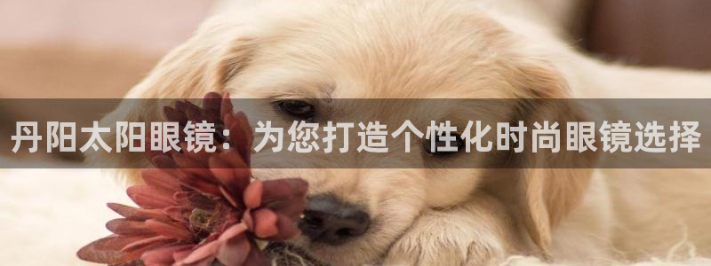 辉达娱乐官网