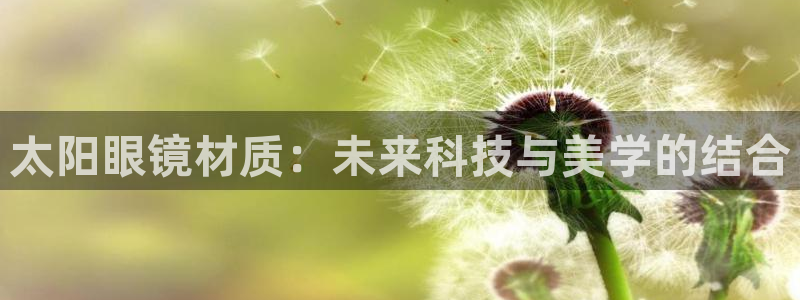 辉达娱乐公司
