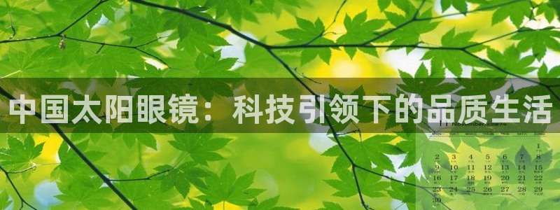 辉达娱乐检测