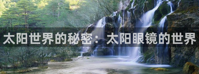 专业辉达娱乐平台
