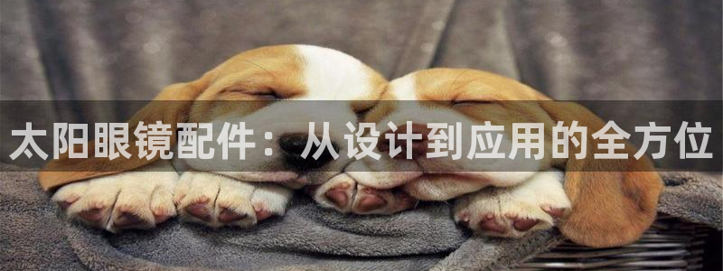 辉达平台官网首页