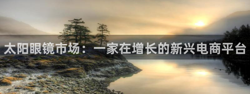 辉达娱乐公司