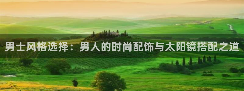 辉达娱乐待遇