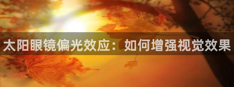辉达娱乐app