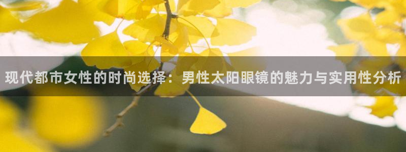 辉达娱乐最新版本更新内容