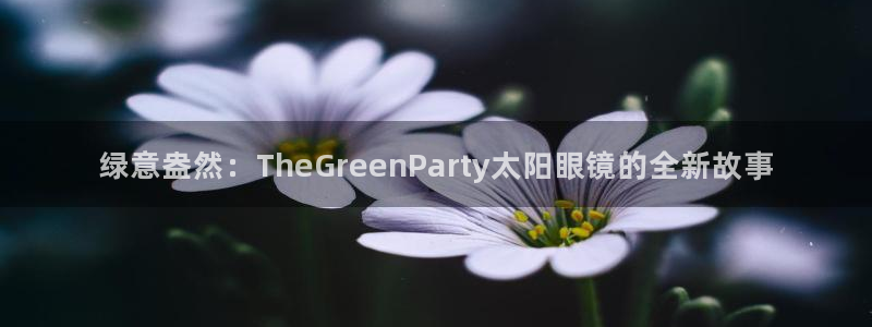 辉达娱乐