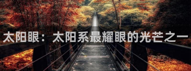 辉达娱乐丨39444