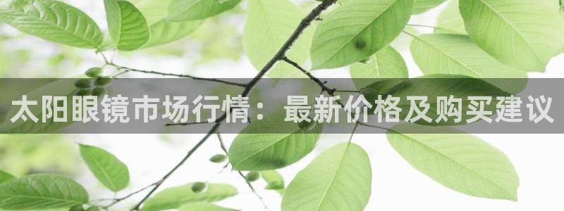 辉达娱乐电子游艺
