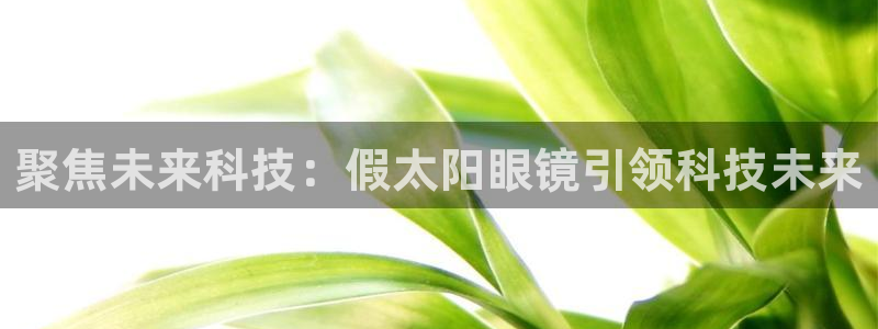 辉达娱乐最新现状