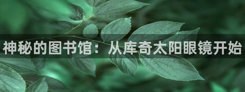 辉达娱乐招商