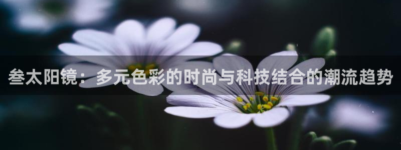 辉达娱乐丿75505