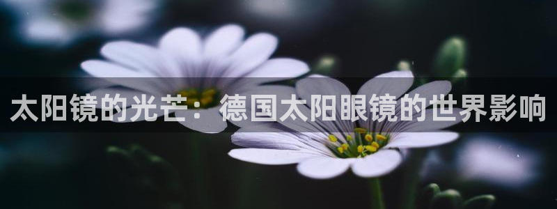 辉达娱乐丨39444