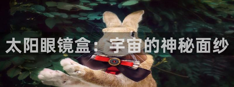 信誉辉达娱乐