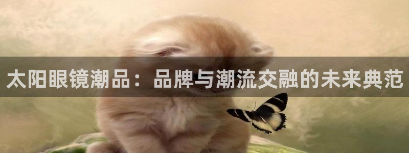 辉达娱乐丶75505