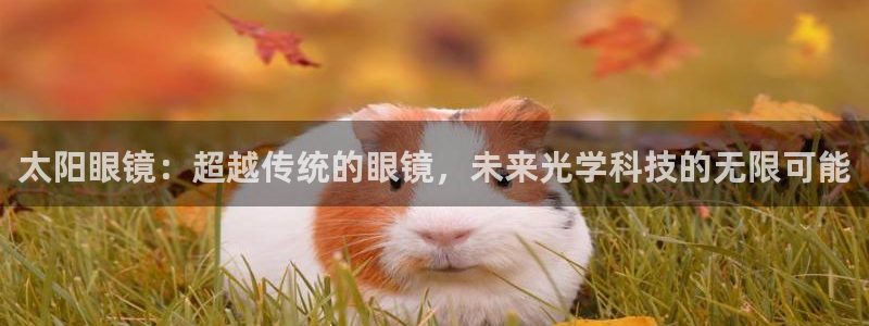 辉达娱乐丶75505