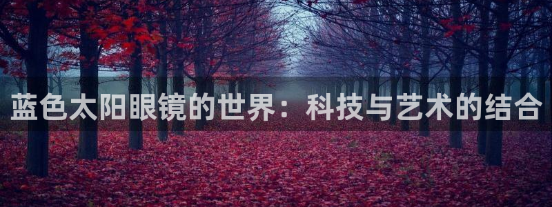辉达娱乐公司