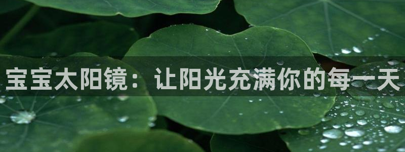 辉达娱乐公司