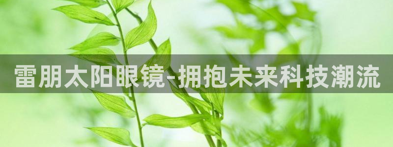 信誉辉达娱乐在线游戏