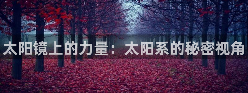 辉达娱乐时时彩平台