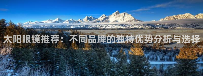 代理辉达娱乐平台