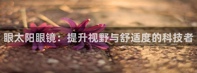 辉达娱乐公司