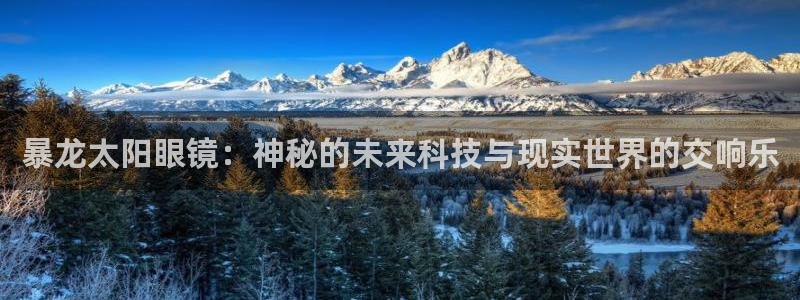 辉达娱乐平台