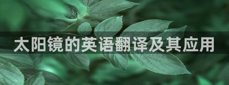 辉达娱乐ag游戏平台