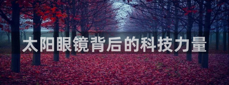 辉达娱乐珈75775