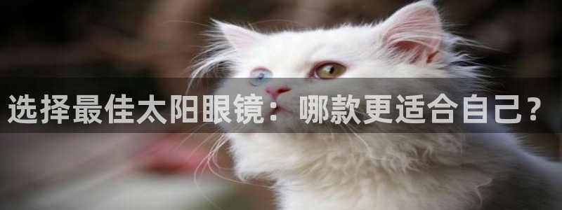 辉达娱乐己75505