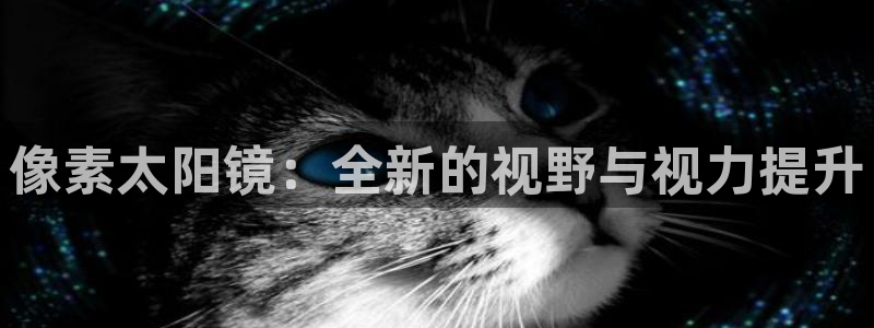专业辉达娱乐平台