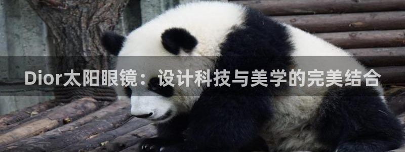 信誉辉达娱乐官方网址