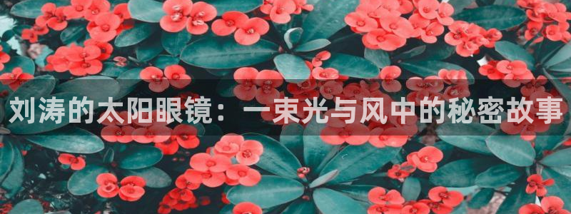 辉达娱乐衤39444