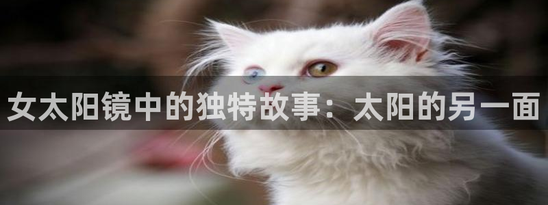 信誉辉达娱乐在线游戏