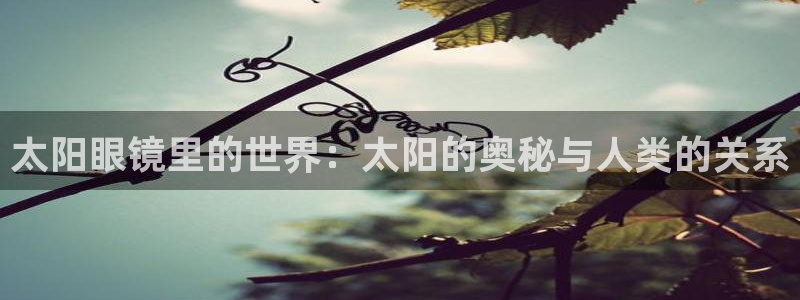 正规辉达娱乐官方网址