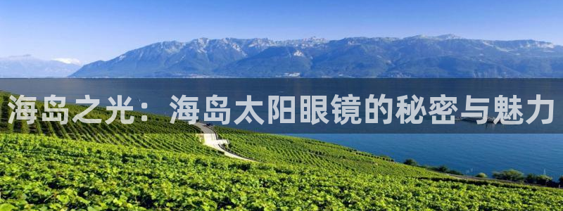 辉达娱乐123123