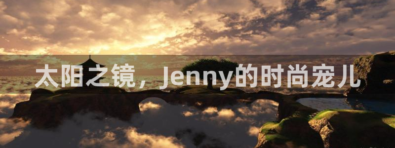 辉达怎么样