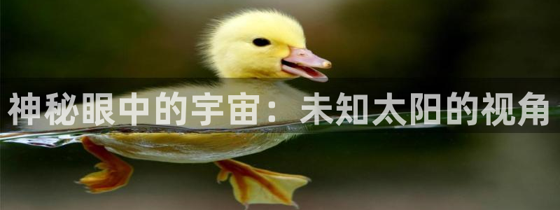 辉达娱乐广东11选5